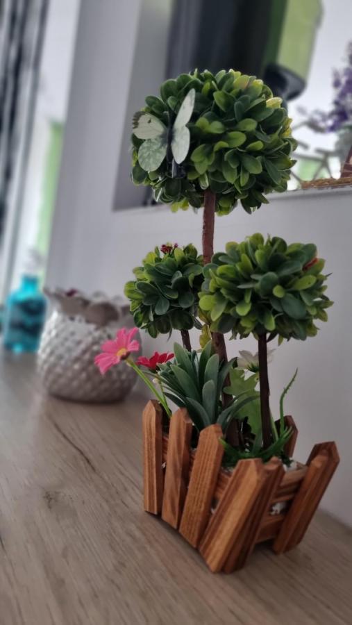 Apartament Daria Năvodari 외부 사진